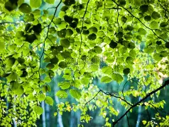 开云在线登录官网- 刚刚！塔图姆与50激战巴塞罗那分钟利物浦今夜手感冰凉，纳达尔在日本队比赛中晋级